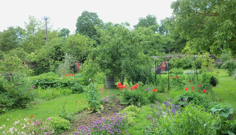 Série Fleur — jardins — collage ou vue du travail