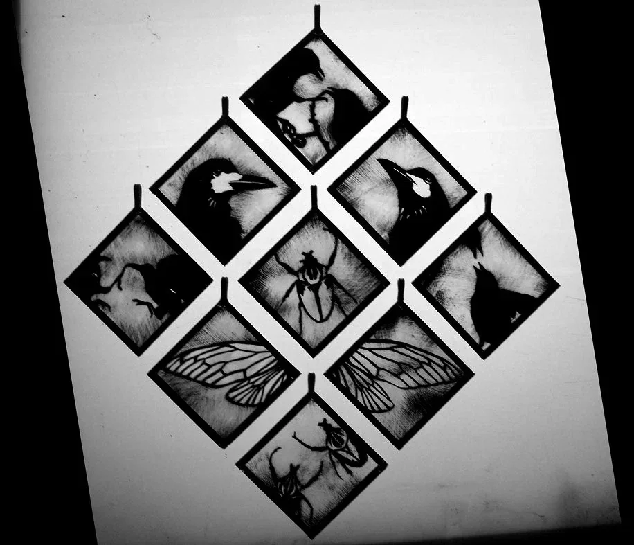 Travail autour de la plume — collage ou vue du travail