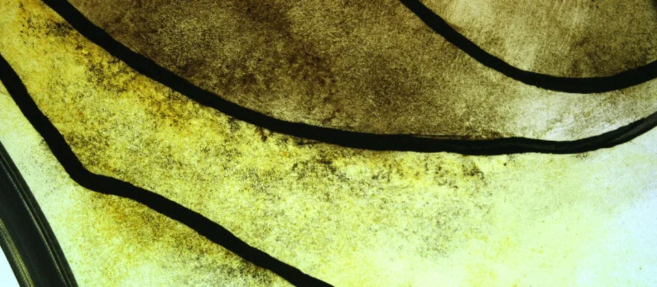 Détail de peinture — 2008 — collage ou vue du travail
