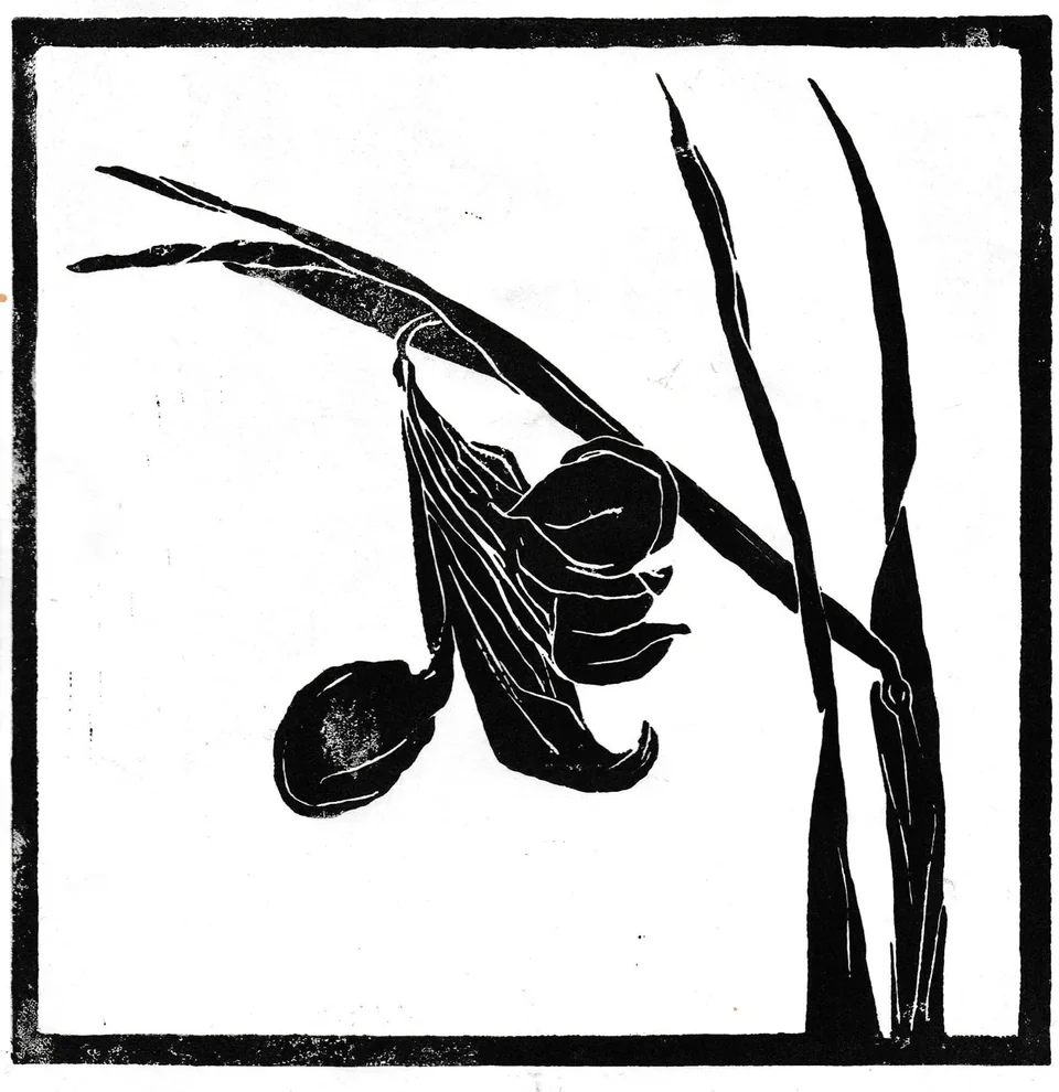 Linogravure florale en noir et blanc