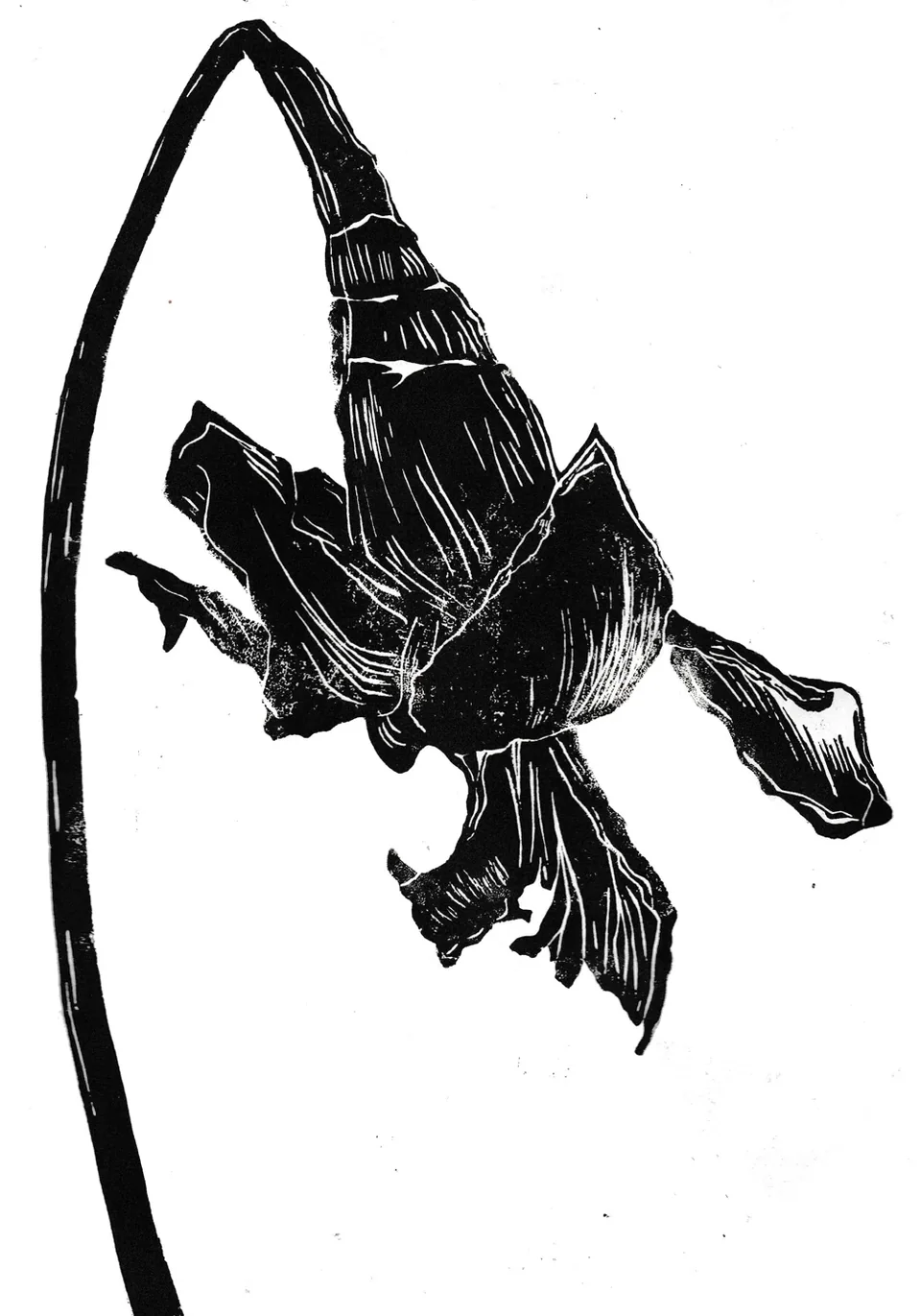 Linogravure florale en noir et blanc
