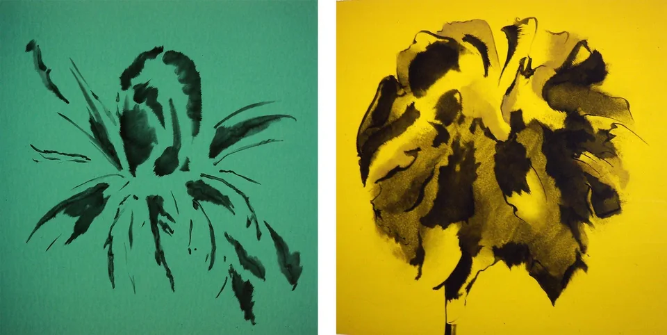 Série Fleur — jardins — collage ou vue du travail